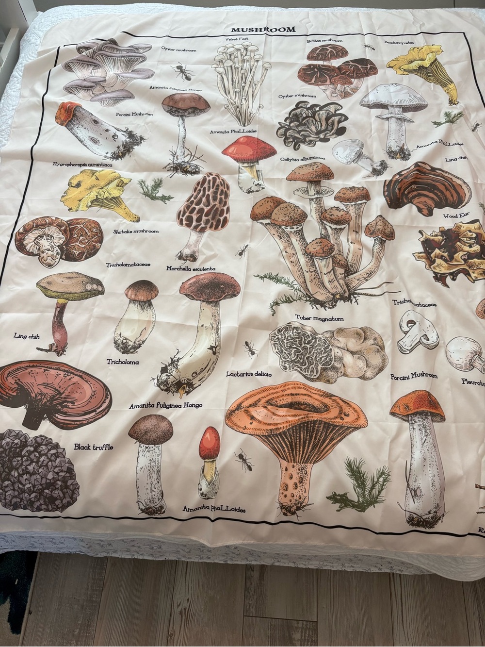 Mushroom Illustration Bedding/tapestry Throw - Neutral Botanical Design